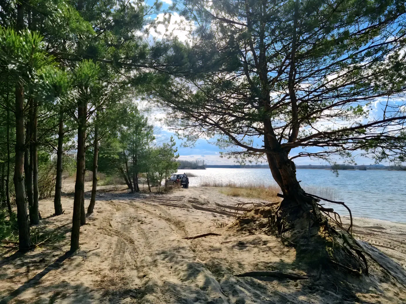 Plaża FKK Kuźnica Warężyńska - Pogoria IV wiosną